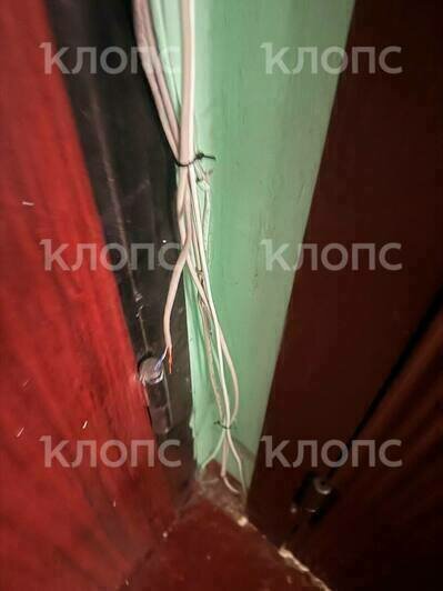 Подъезд жилого дома в центре Калининграда опутала жуткая паутина из опасно свисающих проводов (фото)  - Новости Калининграда | Фото: очевидцы