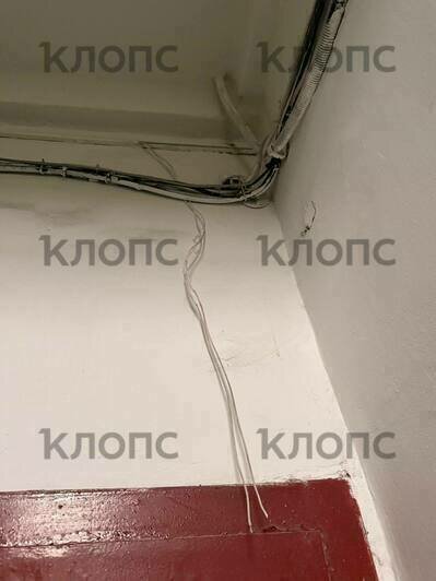 Подъезд жилого дома в центре Калининграда опутала жуткая паутина из опасно свисающих проводов (фото)  - Новости Калининграда | Фото: очевидцы