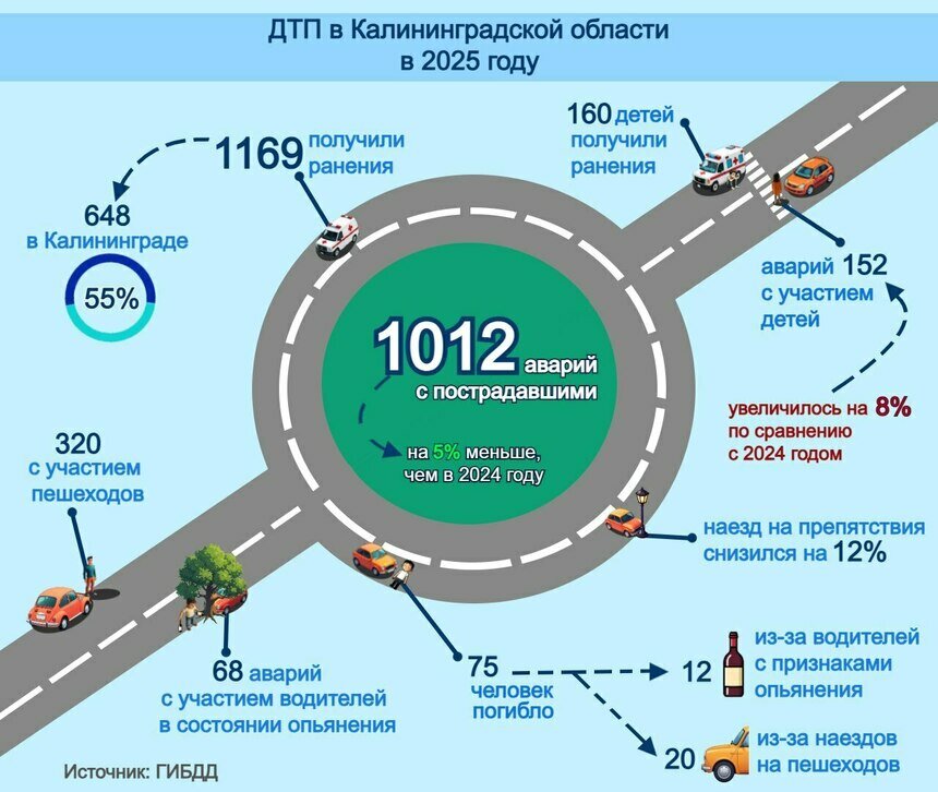 Аварий меньше, тревоги больше: в Калининградской области выросло число ДТП с детьми