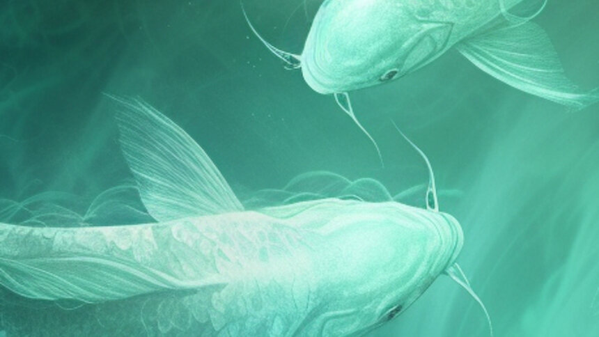 Романтический водоворот: три знака зодиака, которые в феврале с головой окунутся в любовь - Новости Калининграда