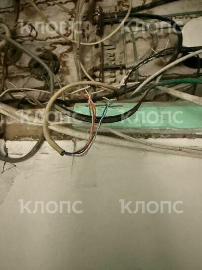 Подъезд жилого дома в центре Калининграда опутала жуткая паутина из опасно свисающих проводов (фото)  - Новости Калининграда | Фото: очевидцы