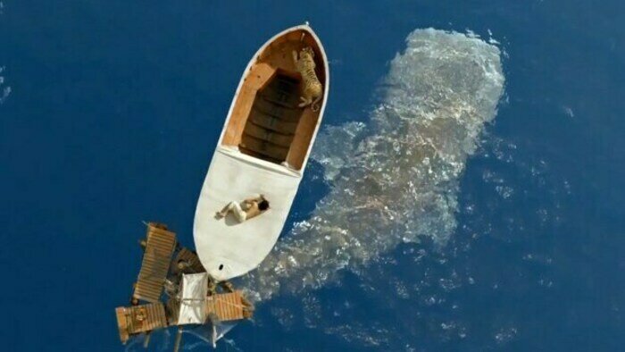 Кто же не любит Пятницу: 6 фильмов о Робинзоне — для тех, кому не хватает приключений - Новости Калининграда | Кадр из фильма «Жизнь Пи»