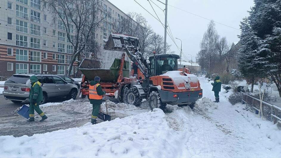 Дятлова осудила водителей, которые мешают убирать снег с городских парковок - Новости Калининграда | Фото: канал сити-менеджера Калининграда Елены Дятловой / Телеграм
