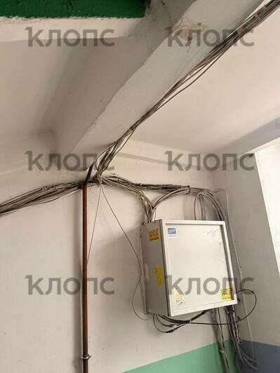 Подъезд жилого дома в центре Калининграда опутала жуткая паутина из опасно свисающих проводов (фото)  - Новости Калининграда | Фото: очевидцы