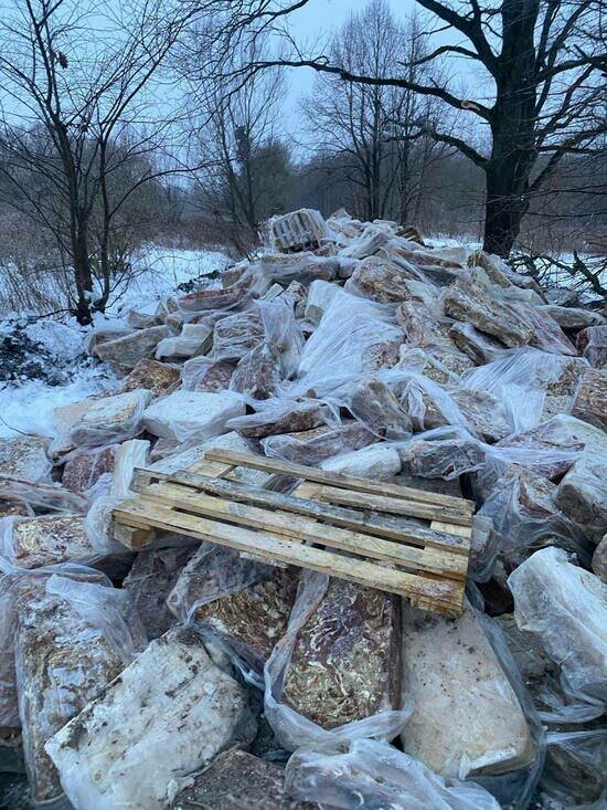 Жалобы подтвердились: у Космодемьянского и Совхозного нашли незаконную свалку на 200 кубометров - Новости Калининграда | Фото: минприроды Калининградской области