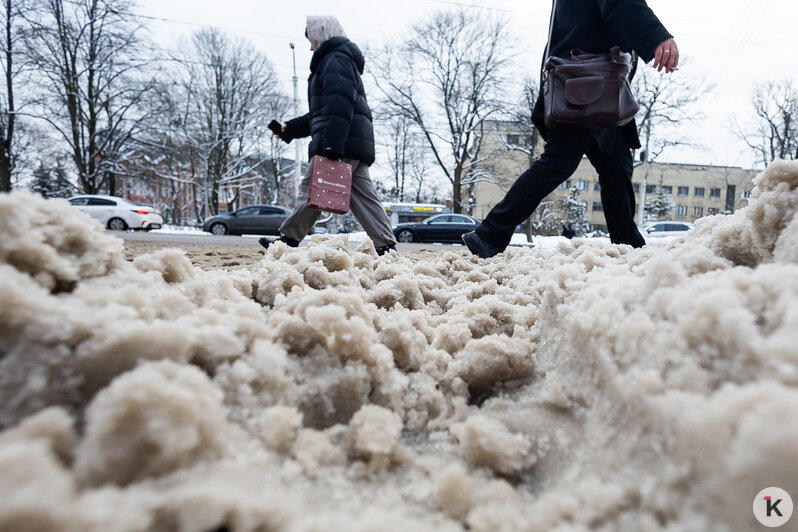 Зима 2026 года. | Фото: Александр Подгорчук / «Клопс»