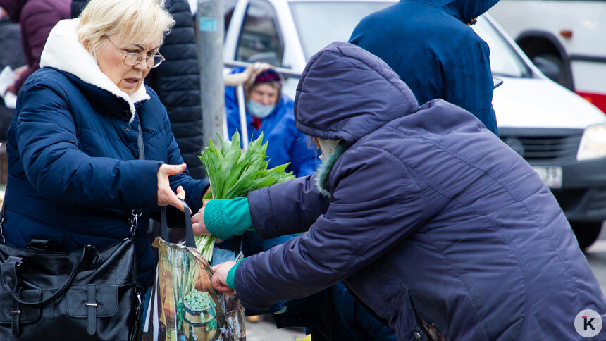 «Если наши руки туда не дотянулись, вы нам подскажите»: Подольский — о торговле продуктами из багажников - Новости Калининграда | Фото: Александр Подгорчук / Архив «Клопс»