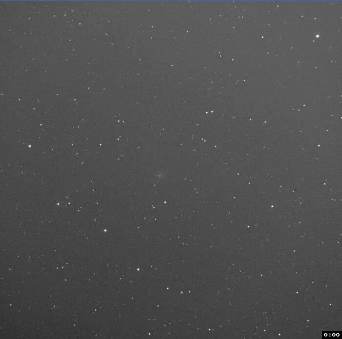 Комета 24P/Шомасса. | Фото: пресс-служба БФУ им. Канта