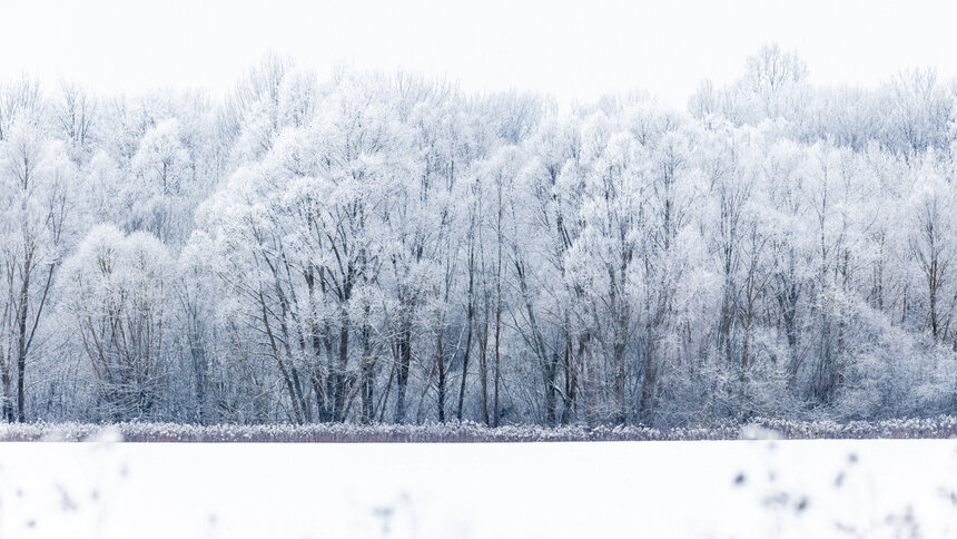 Калининградские энергетики из-за сильных морозов перешли в режим «Товсь!» - Новости Калининграда | Фото: Александр Подгорчук / Архив «Клопс»