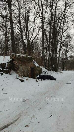 Жители Калининградской области сделали из старого погреба в родном посёлке мини-музей (фото, видео)   - Новости Калининграда | Фото: Мария