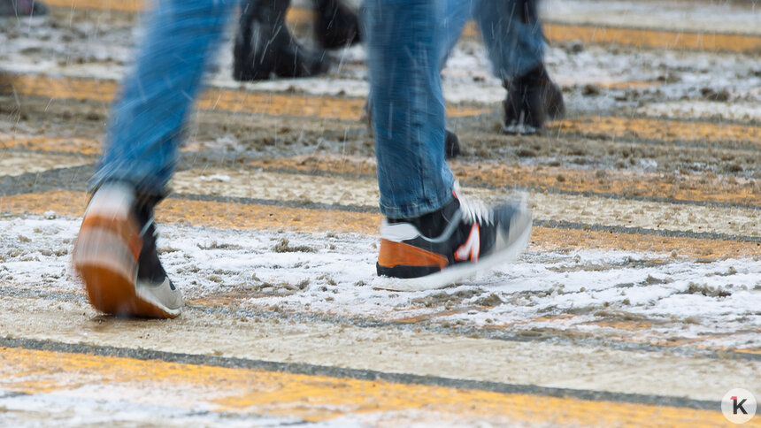 «Ликвидация нецелесообразна»: Дятлова жёстко ответила на идею убрать переход возле Центрального парка - Новости Калининграда | Фото: Александр Подгорчук / Архив «Клопс»