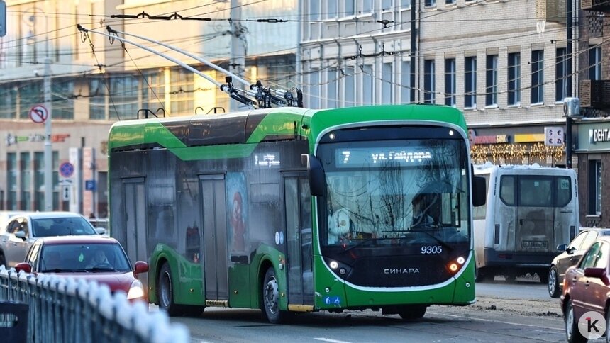 Морозы в Калининграде выявили проблемы у новых троллейбусов - Новости Калининграда | Фото: Александр Подгорчук / «Клопс»