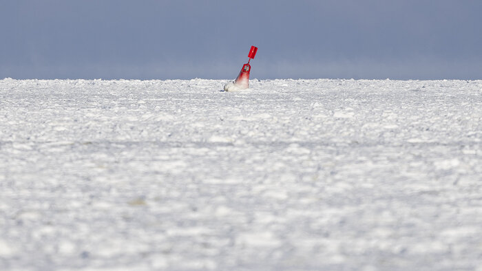 Инопланетные пейзажи замёрзшей Балтики: фоторепортаж из Пионерского   - Новости Калининграда | Фото: Александр Подгорчук / «Клопс»