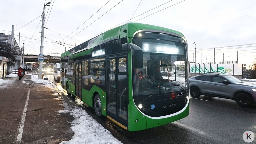 Елена Дятлова рассказала, пустят ли троллейбус до микрорайона Космодемьянского   - Новости Калининграда | Фото: Александр Подгорчук / Архив «Клопс»
