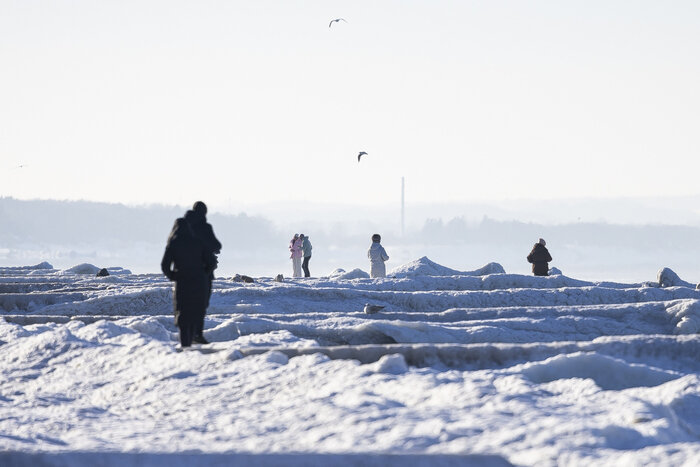 В МЧС поступили десятки звонков о промокших смельчаках, рискнувших прогуляться по морскому льду в Пионерском   - Новости Калининграда | Фото: Александр Подгорчук / «Клопс»