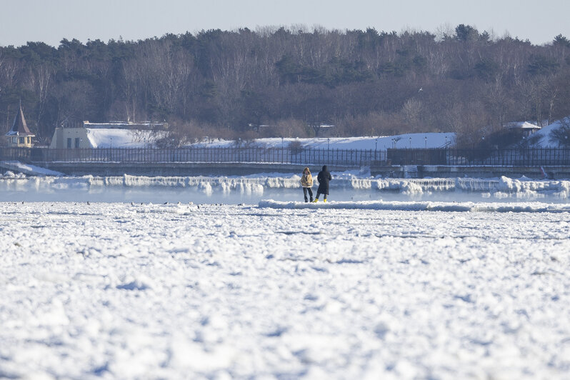 Инопланетные пейзажи замёрзшей Балтики: фоторепортаж из Пионерского   - Новости Калининграда | Фото: Александр Подгорчук / «Клопс»