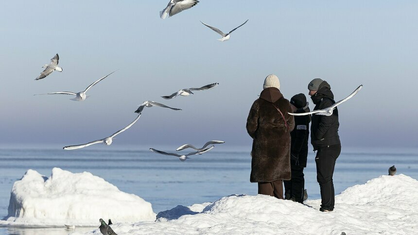 В МЧС поступили десятки звонков о промокших смельчаках, рискнувших прогуляться по морскому льду в Пионерском   - Новости Калининграда | Фото: Александр Подгорчук / «Клопс»