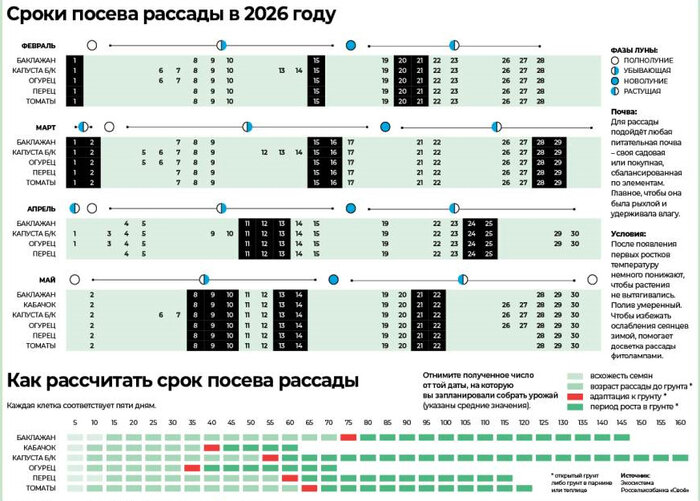 Когда сеять и сажать в Калининграде: лунный календарь и полезные контакты  | Инфографика: газета «Страна Калининград»