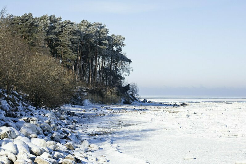 Инопланетные пейзажи замёрзшей Балтики: фоторепортаж из Пионерского   - Новости Калининграда | Фото: Александр Подгорчук / «Клопс»