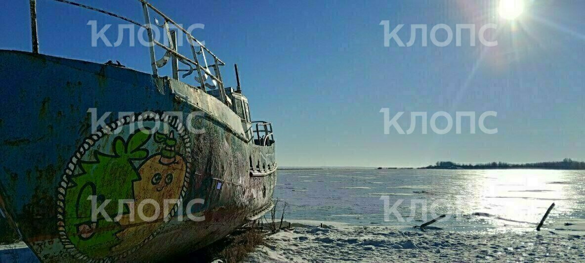 Без воды, продуктов и с замёрзшими трубами: что происходит на закованной во льдах Балтийской косе (фото) - Новости Калининграда | Фото: Наталья Разина