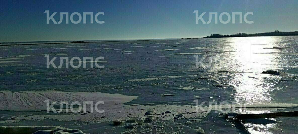 Без воды, продуктов и с замёрзшими трубами: что происходит на закованной во льдах Балтийской косе (фото) - Новости Калининграда | Фото: Наталья Разина