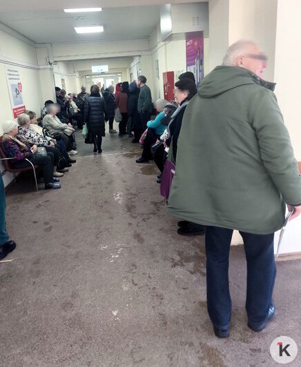 «По 50 человек стоят»: работу «льготной аптеки» в Калининграде оптимизируют, чтобы уменьшить очереди — минздрав   - Новости Калининграда | Фото: Игорь