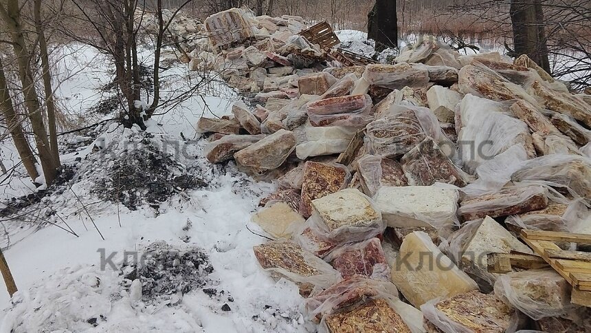 В минприроды рассказали, что грозит виновным в незаконной свалке мясных отходов под Калининградом   - Новости Калининграда | Фото: очевидец