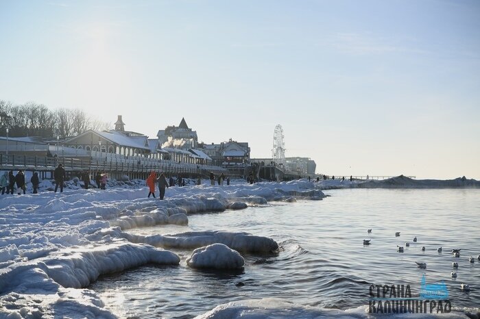 Минувшей ночью мороз опустился до рекордных отметок.  | Фото: Оксана Сазонова