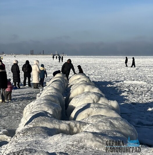 В Пионерском люди доходят по льду до конца мола в порту | Фото: Оксана Сазонова