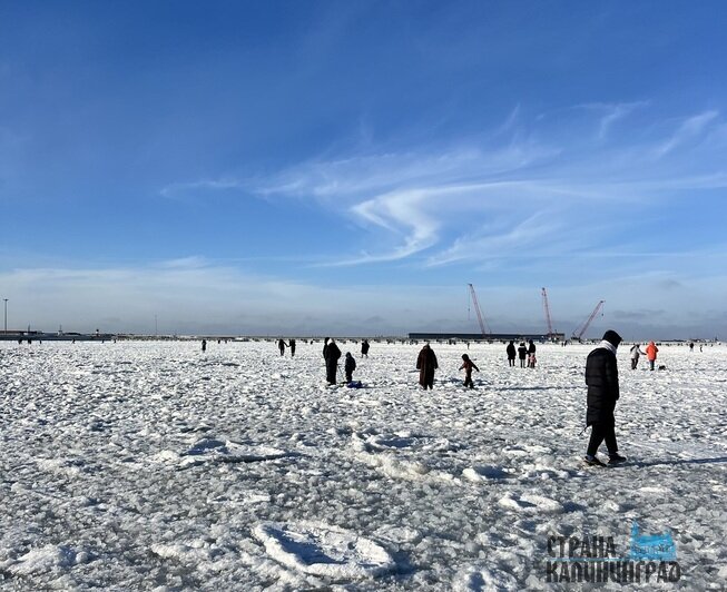 В Пионерском люди доходят по льду до конца мола в порту | Фото: Оксана Сазонова