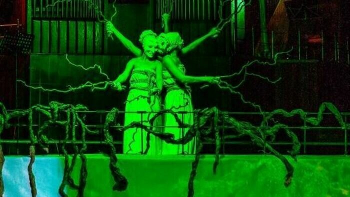 «Органный перформанс» (12+) посвящён природе, красоте и музыке. | Фото: пресс-служба организатора мероприятия