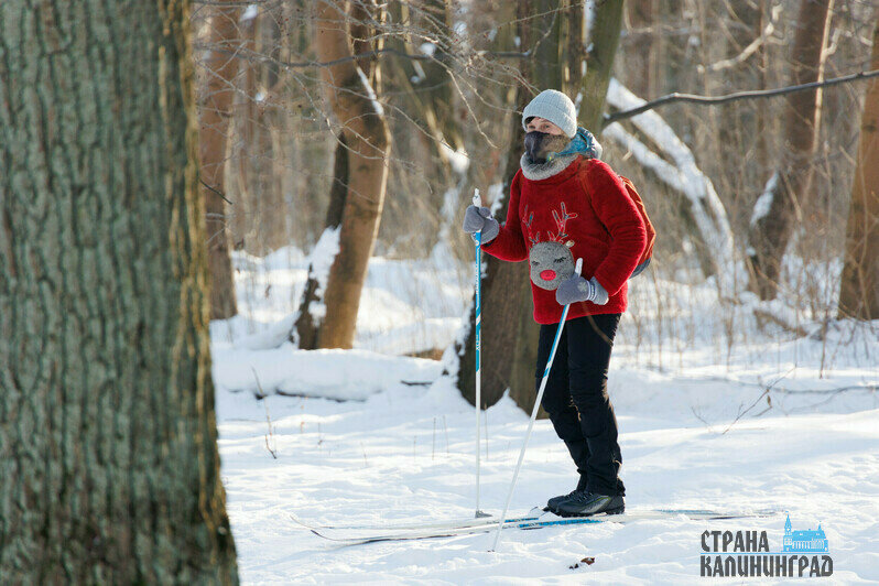 «Мы совсем не замерзли»: почти тысяча калининградцев поиграла в регби и волейбол на снегу в -18 градусов  | Фото: Александра Мелехова