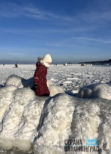 В Пионерском люди доходят по льду до конца мола в порту | Фото: Оксана Сазонова