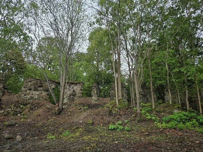 Руины замка Каймен | Фото: архив Аркадия Жердева и Алёны Михайловой