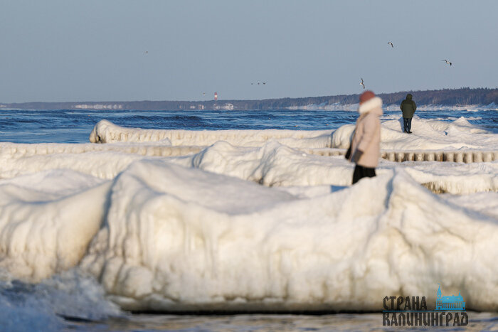 Балтика стала Арктикой: необычные кадры из Зеленоградска