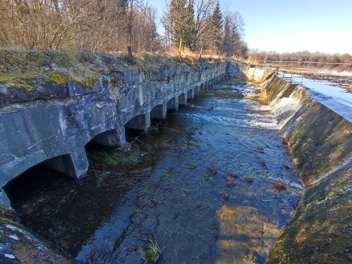 Дамба в Колосовке | Фото: архив Аркадия Жердева и Алёны Михайловой