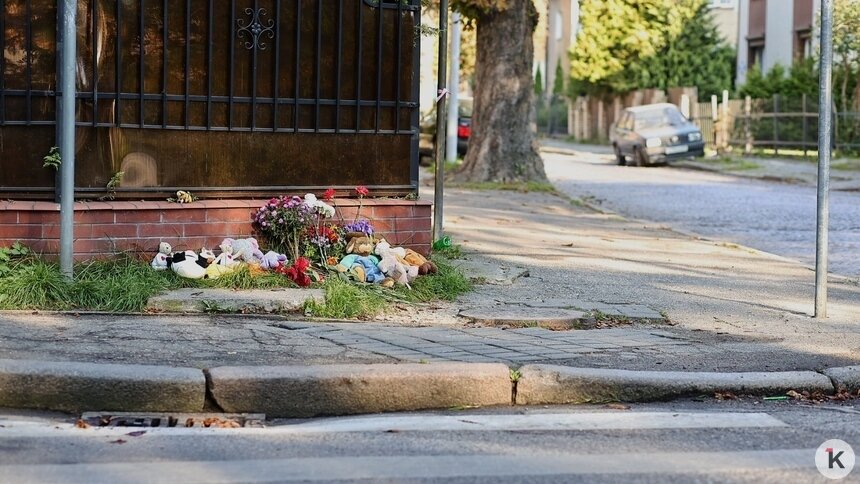 В Калининградской области за год не снизилось число погибших в ДТП - Новости Калининграда | Фото: Александр Подгорчук / Архив «Клопс»