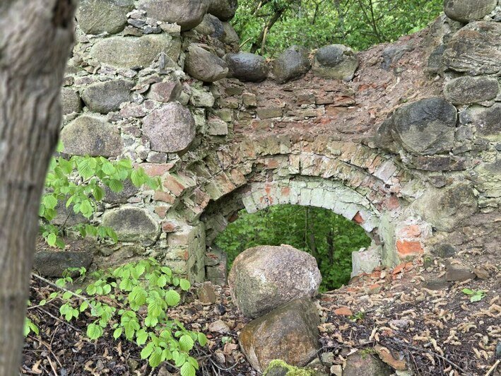 Руины замка Каймен | Фото: архив Аркадия Жердева и Алёны Михайловой