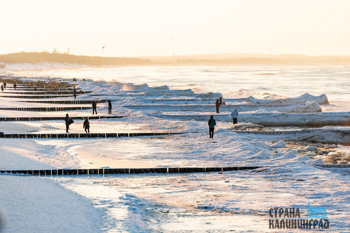 Балтика стала Арктикой: необычные кадры из Зеленоградска