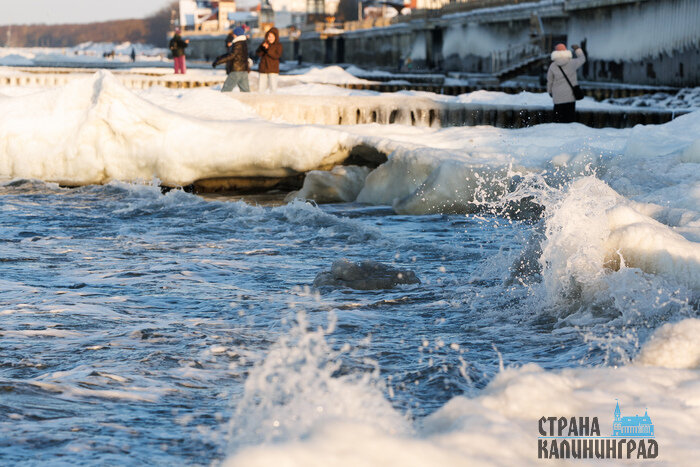 Балтика стала Арктикой: необычные кадры из Зеленоградска