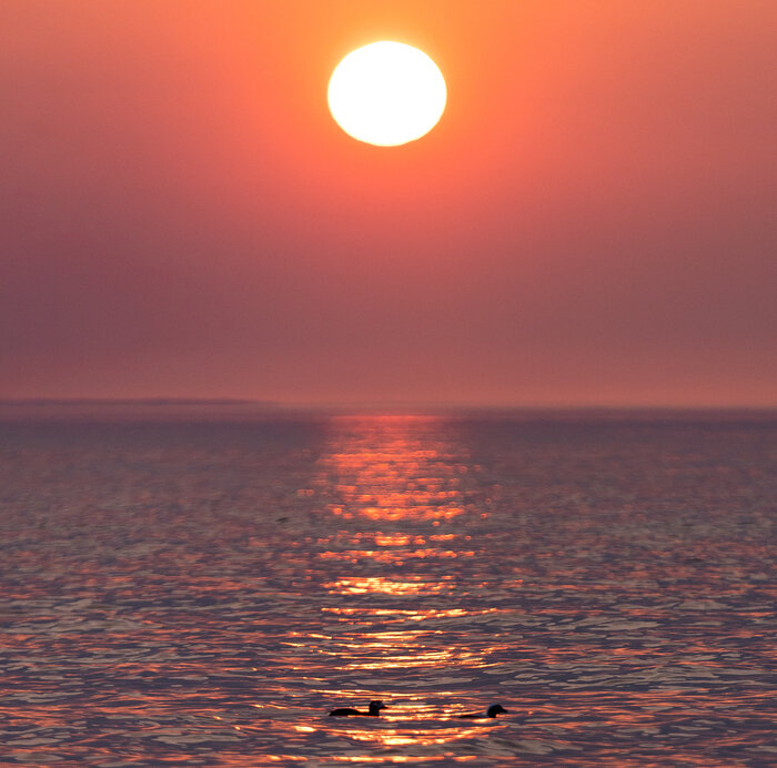 Сделал предложение в Филинской бухте: топ-10 мест в Калининградской области, которые выбирают влюблённые туристы - Новости Калининграда | Фото: Александр Подгорчук / Архив «Клопс»