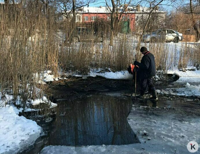 В Балтийске местные власти сделали прорубь во льду канала, чтобы спасти замерзающих птиц (видео, фото)   - Новости Калининграда | Фото: «Биосфера Балтики»