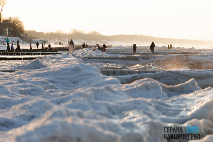 Балтика стала Арктикой: необычные кадры из Зеленоградска