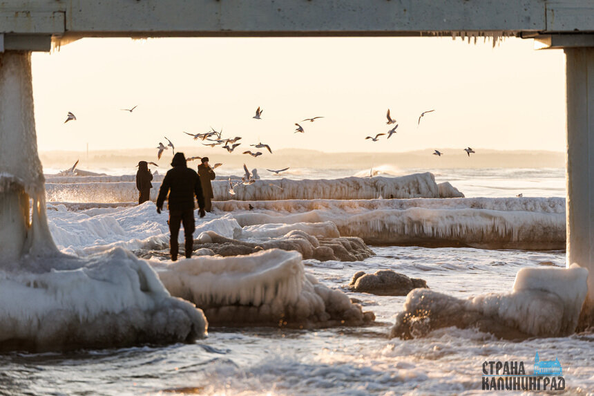 Балтика стала Арктикой: необычные кадры из Зеленоградска