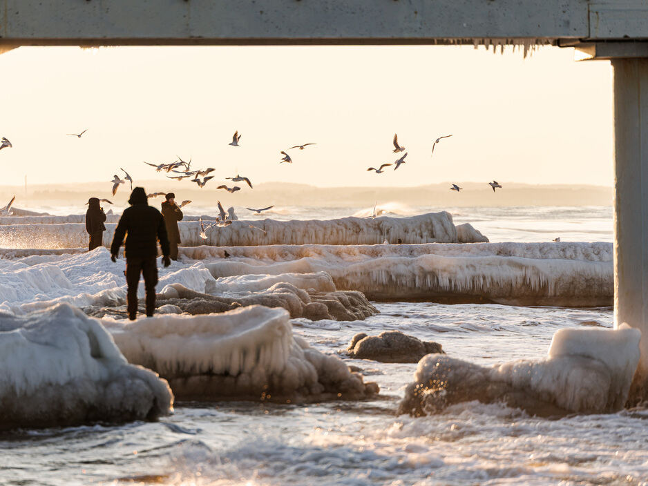 Балтика стала Арктикой: необычные кадры из Зеленоградска