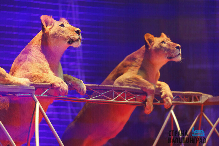 Съемочный процесс.  | Фото: Александр Мелехов