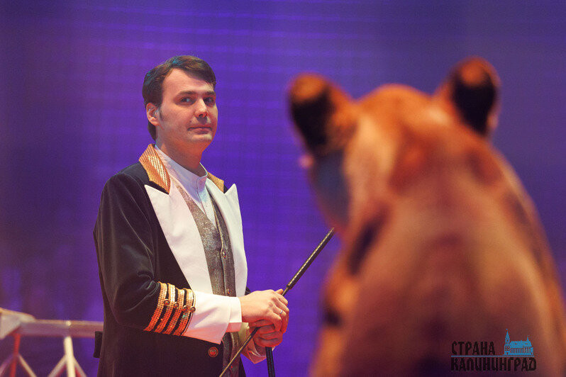 Любимое дело и поддержка близких помогли дрессировщику вернуться на арену. | Александр Мелехов