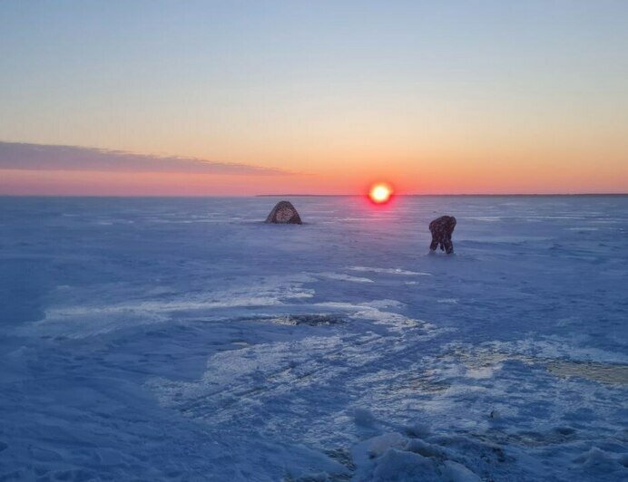 Раз плотвичка, два плотвичка: калининградские рыбаки рассказали, кто клюёт подо льдом (фото) - Новости Калининграда | Фото: Николай Смирнов