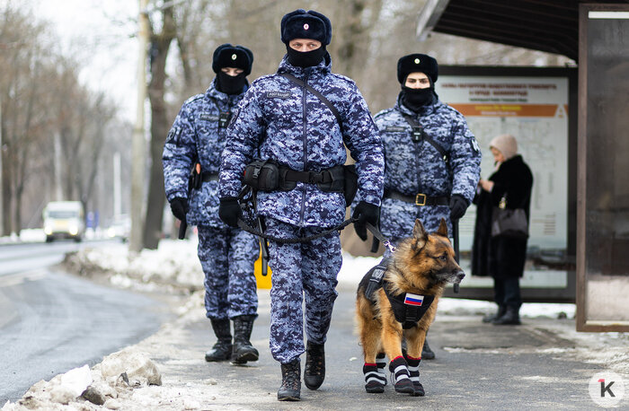 Зачем овчарке кричат «кис-кис»: как в Калининграде живут и служат патрульные собаки (фото)   - Новости Калининграда | Фото: Александр Подгорчук / «Клопс»