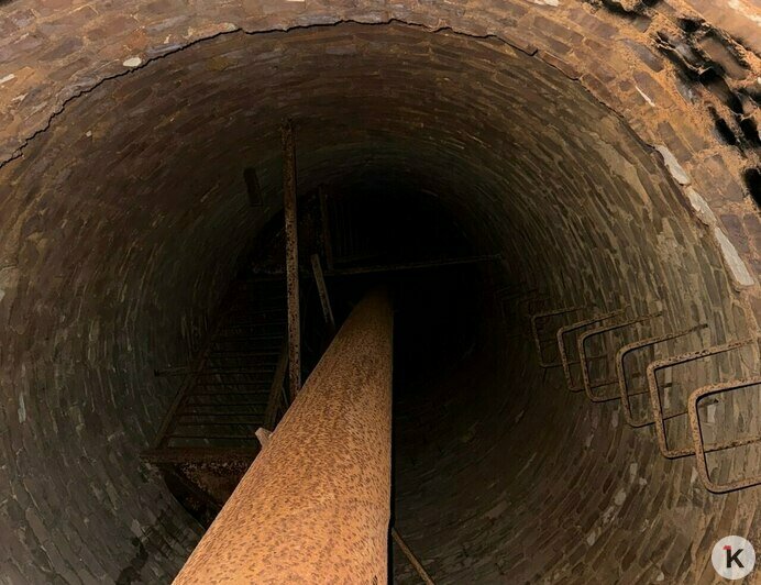 В Гурьевском округе альпинист спас кошку, застрявшую на старой водонапорной башне (фото, видео)   - Новости Калининграда | Фото: Эвелина